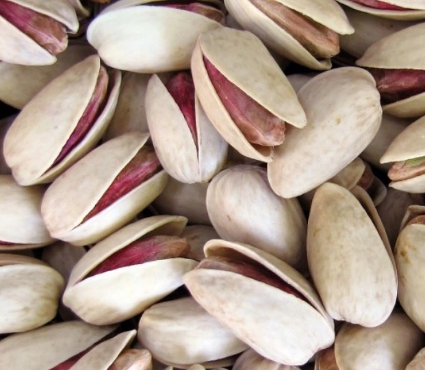 'cashew', 'pistachio price',