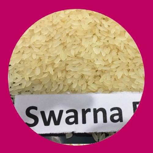 'swarna-rice', 'Rice', 'swarna'