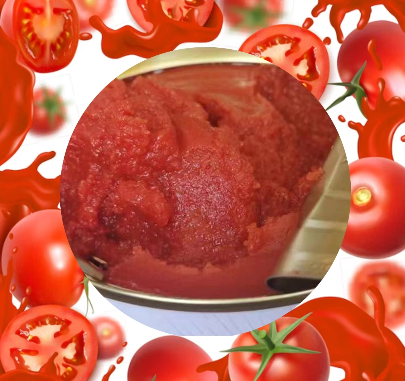 'Tomato', 'canned Tomato', 'canned Tomato 70%'